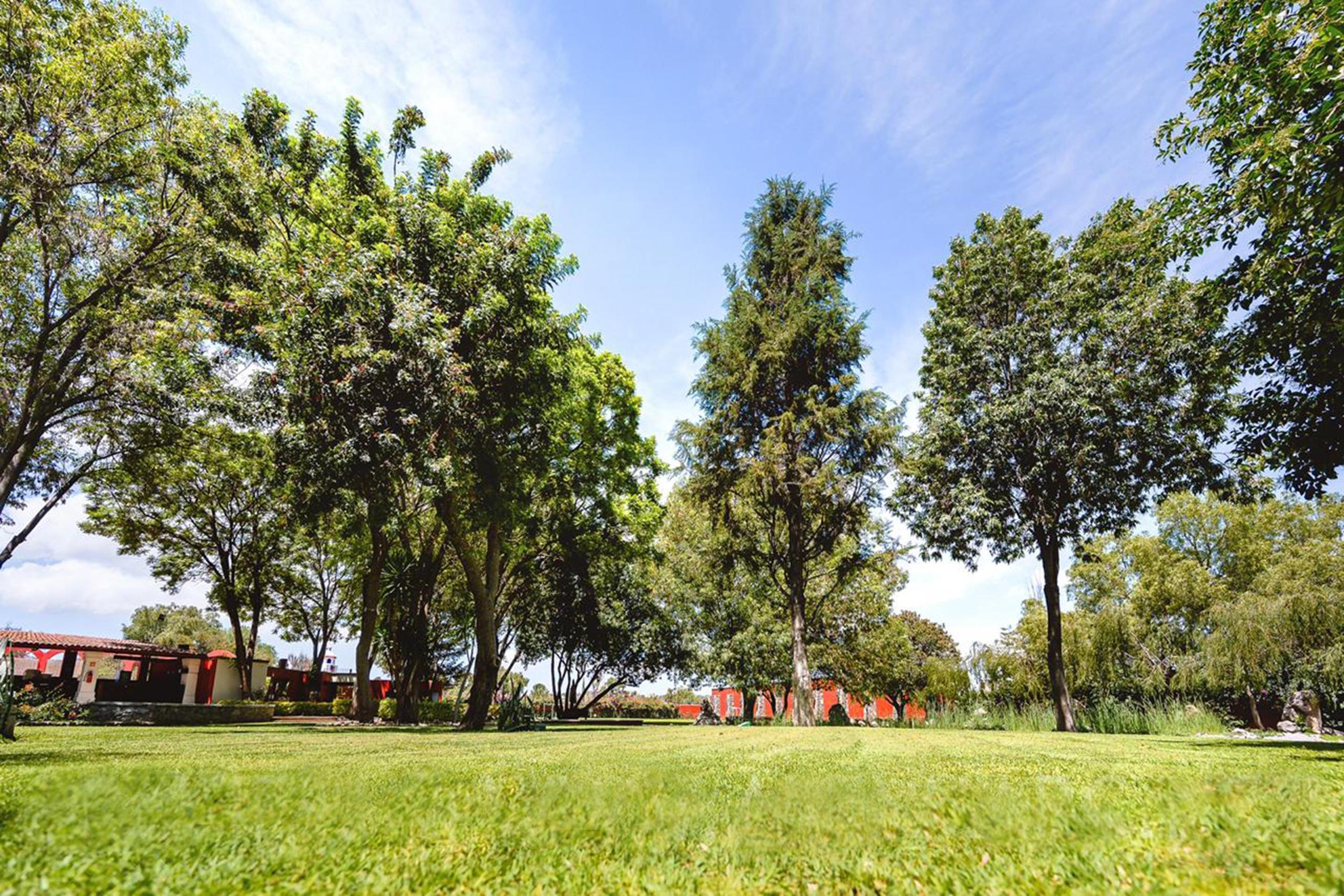 Real de Minas San Miguel de Allende Exterior foto The park