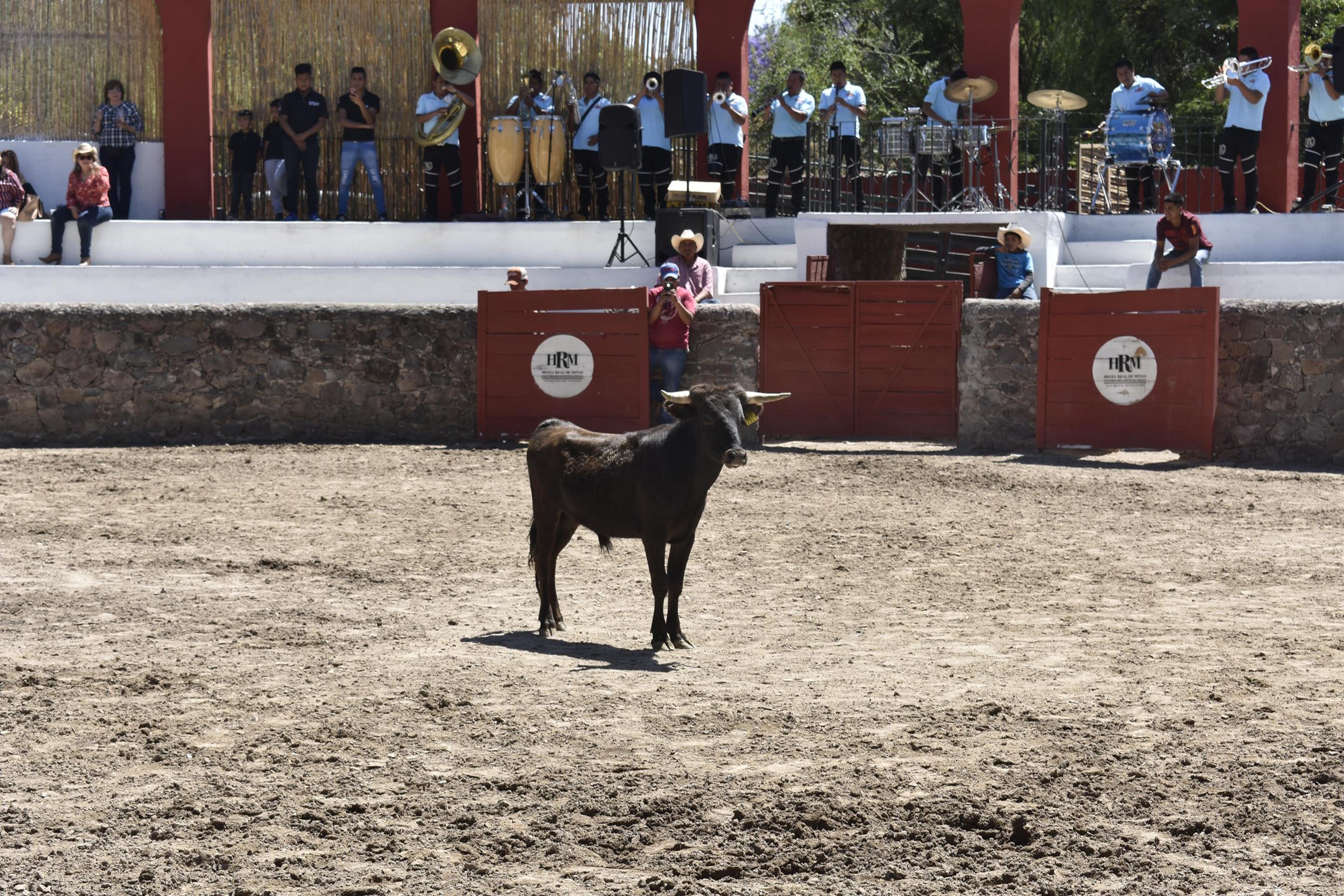 Real de Minas San Miguel de Allende Exterior foto A bull in the bullring