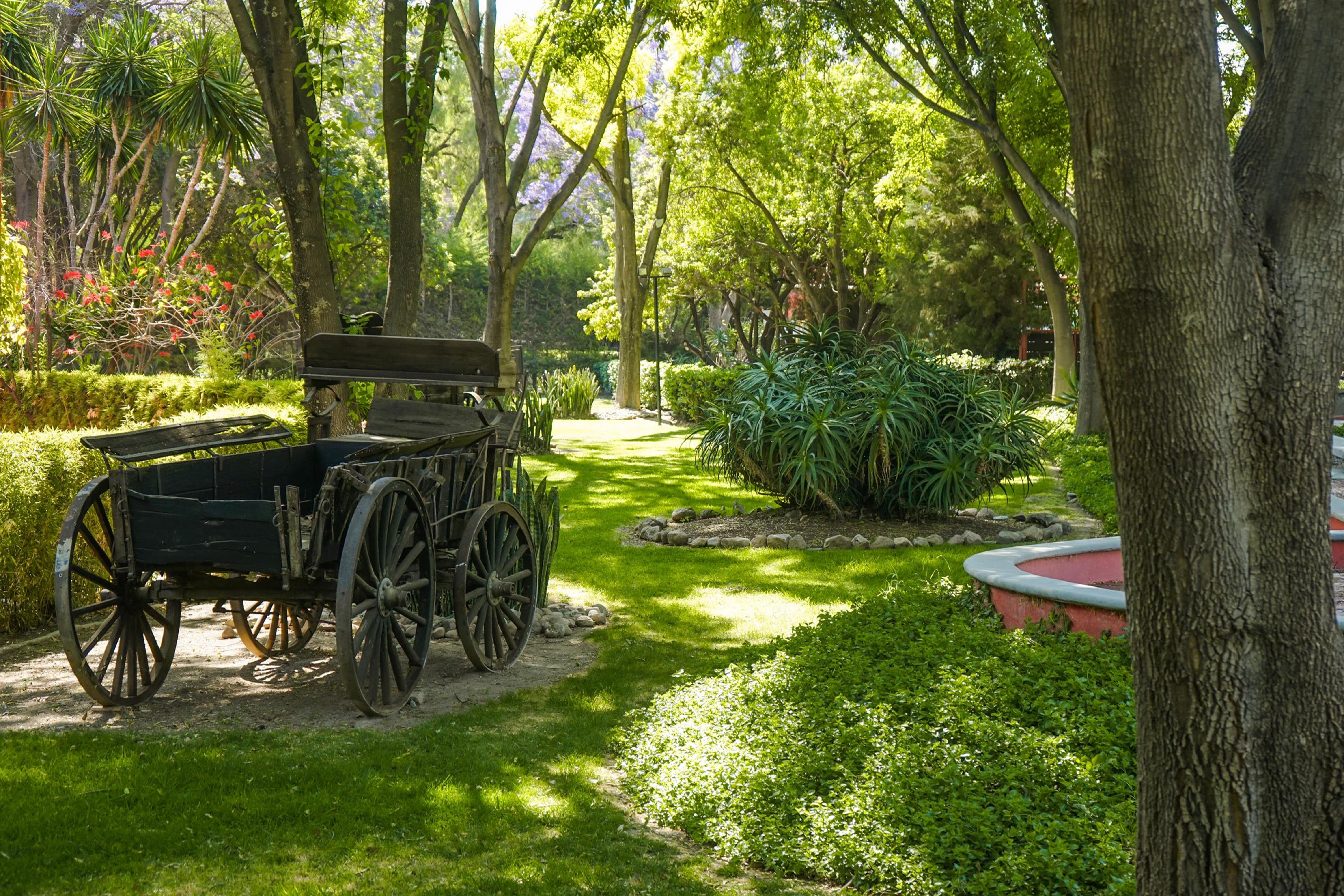 Real de Minas San Miguel de Allende Exterior foto The gardens of the museum